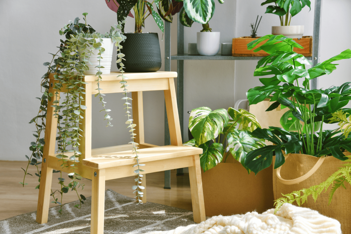 7 consejos para decorar tu hogar con plantas artificiales