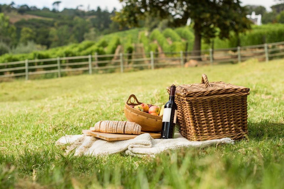 Las 4 mejores cestas con mesa para ir de picnic (Canva)